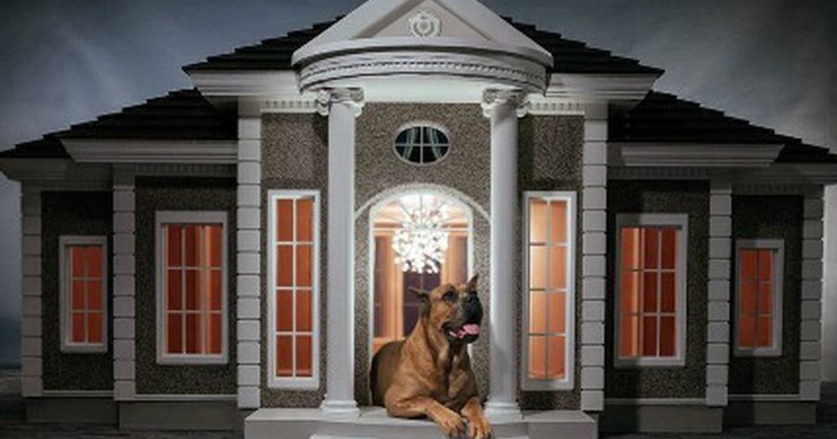Ejecución Dejar abajo esquina Mansiones para perros tanto o más elegantes que las casas de sus dueños