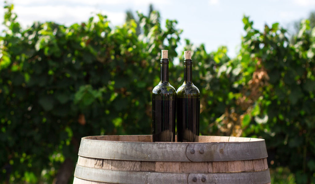 ¿Qué son los vinos naturales y dónde los puedes comprar en la CDMX?