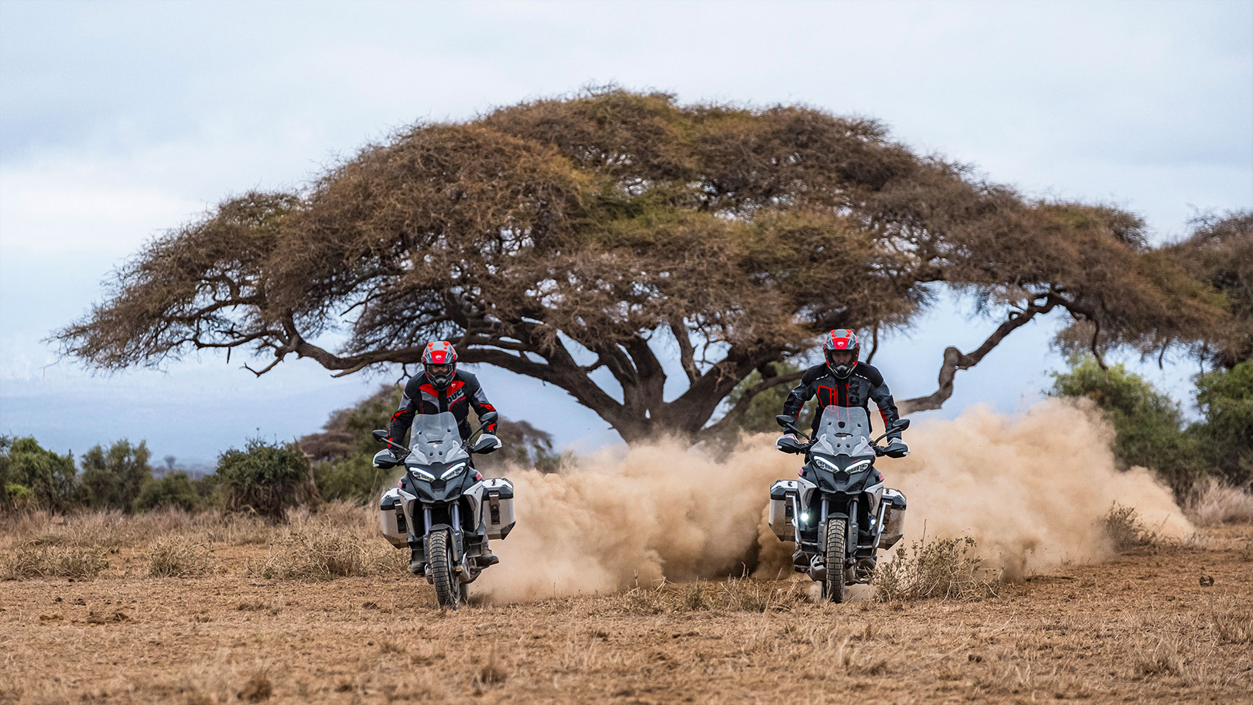 rally de motociclistas salvajes